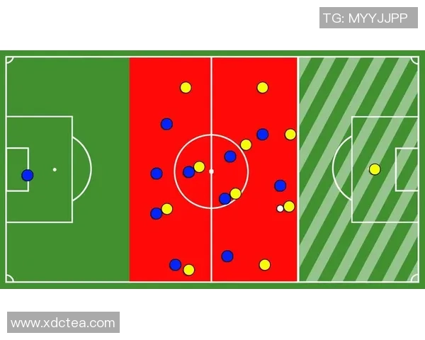 武汉飞盘队战术解析：防守反击策略的深度剖析与应用